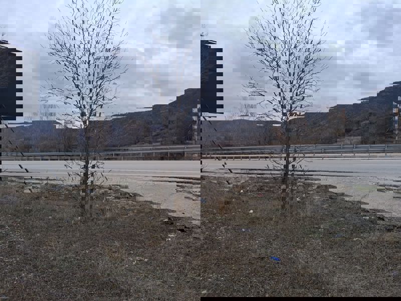 ÇANKIRI ILGAZ'DA 6.672 M2 SATILIK TARLA